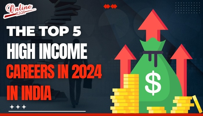 Top 5 High Income Careers in India by 2024