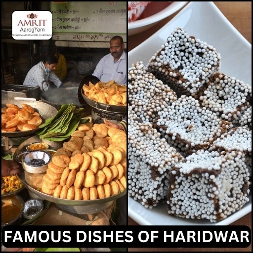 famous-dish-of-haridwar