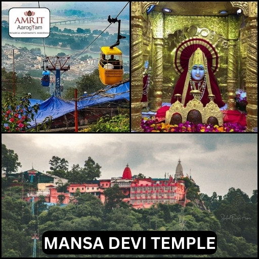 mansa-devi-temple